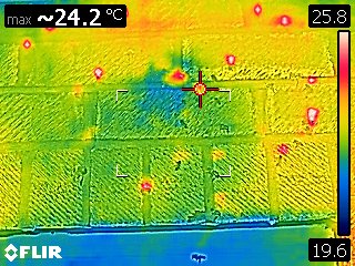 FLIR thermal camera image taken during a concealed honey-bee investigation