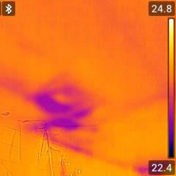 Thermal image taken by Hulls Environmental Services showing a rodent heat pattern in a loft