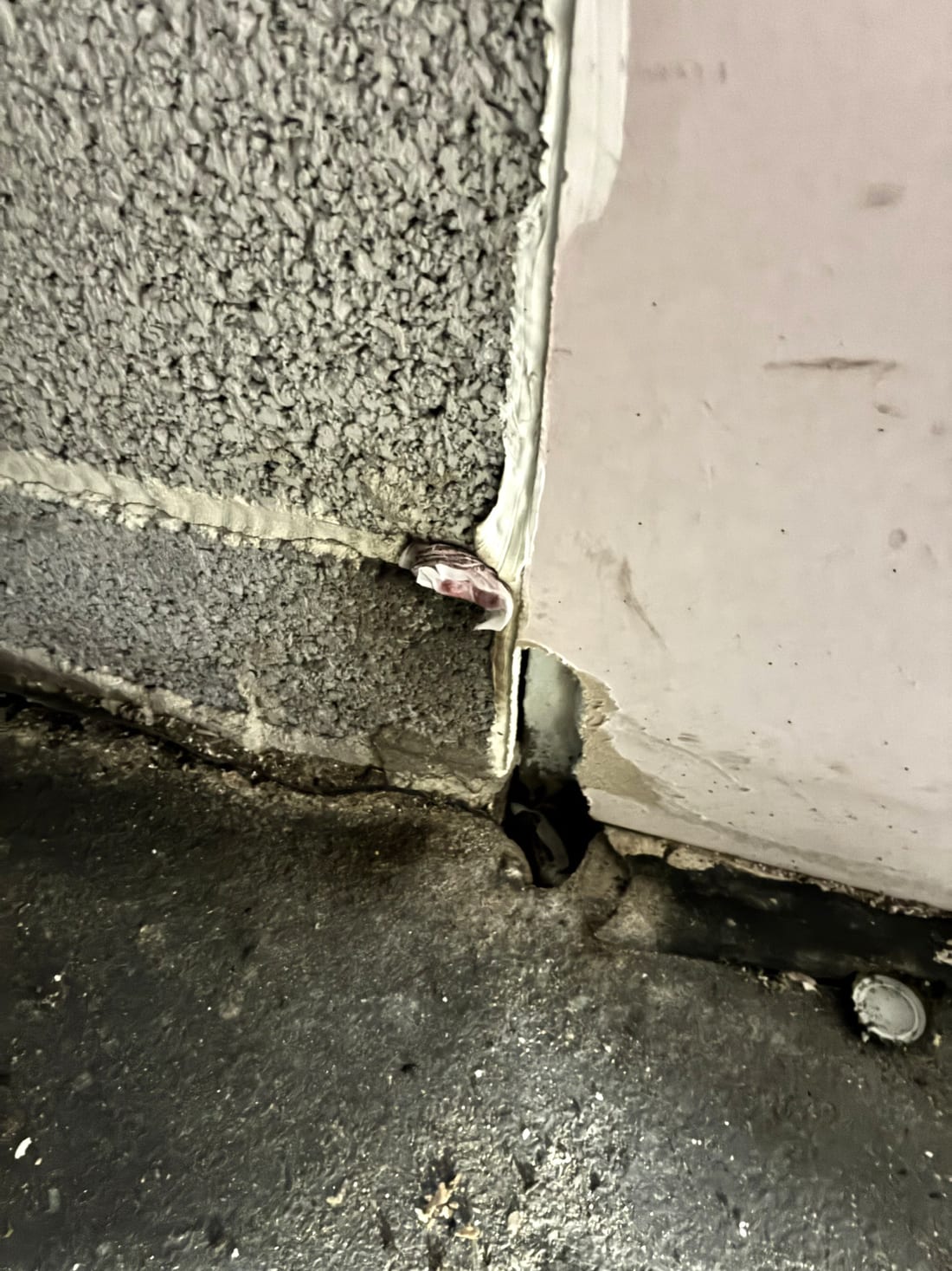 Mouse entry opening found in damaged plaster and building fabric beside the bin area
