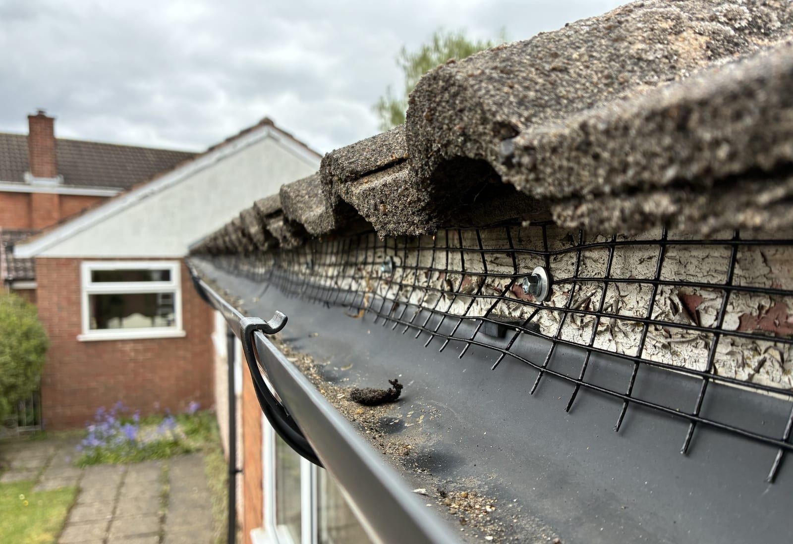 Removable wire-mesh squirrel proofing fitted along the roof edge of a bungalow