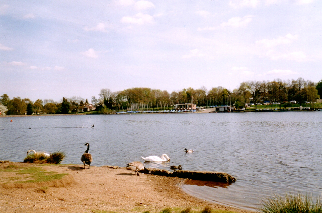 Powell's Pool in Sutton Park, Sutton Coldfield